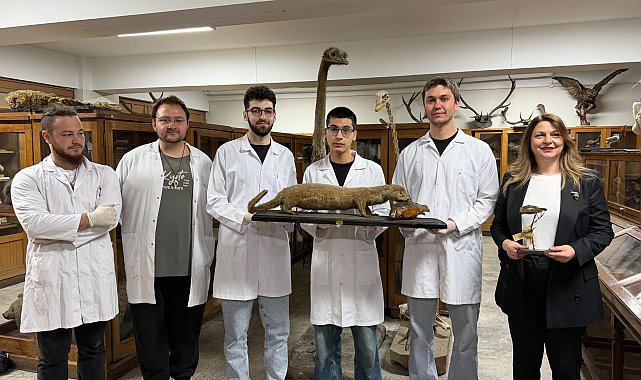 Doldurulmuş hayvan koleksiyonu, müzede korunuyor