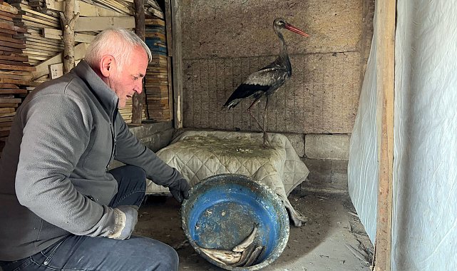 Donmak üzereyken bulduğu leyleği, 2,5 aylık bakım sonrası doğaya bıraktı