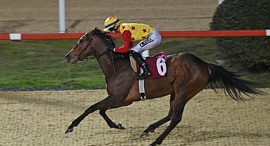 Dünya Kadınlar Günü Koşusu'nda kazanan Jaehaera oldu