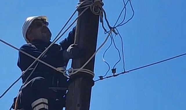 Elektrik direğinde mahsur kalan kediyi ekipler kurtardı