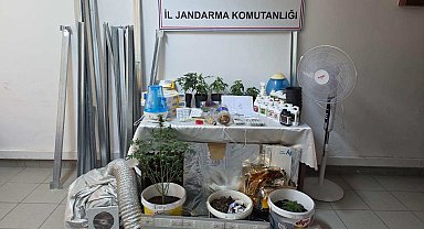 Evdeki 'kenevir serası'na jandarma baskını; 2 gözaltı