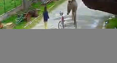 Evinin önünde oynayan çocuğa eşek saldırdı; o anlar kamerada