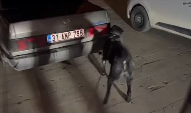 Hatay'da uyuşturucu operasyonu; 3 tutuklama