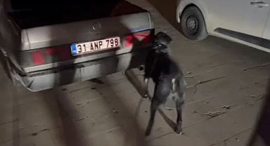 Hatay'da uyuşturucu operasyonu; 3 tutuklama