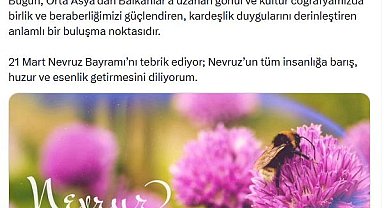 İletişim Başkanı Duran'dan 'Nevruz Bayramı' mesajı