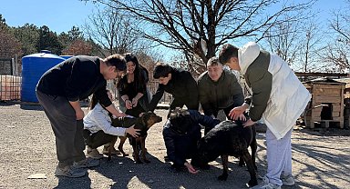İşitme engelli öğrencilerden, engelli köpekler için kampanya