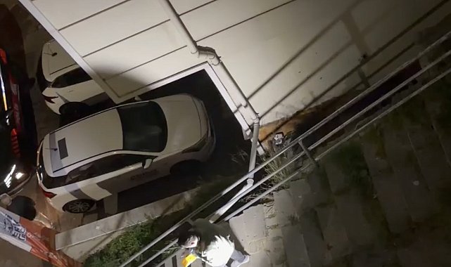 İstanbul - Kağıthane'de terastan düşerek ölen mimarın arkadaşı: Kolunu tutmaya çalıştım aşağı düştü