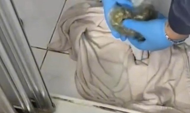 İstanbul - Maltepe'de uyuşturucu operasyonu: 1 tutuklama