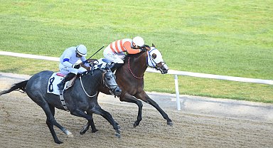 İzmir'de 64'üncü Hipodrom.com Ege Derbisi'nin kazananı The Protecter