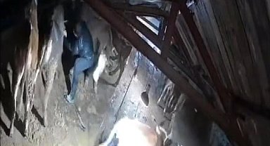 Karın çatısını çökerttiği ahırdaki hayvanları birer birer kurtardılar