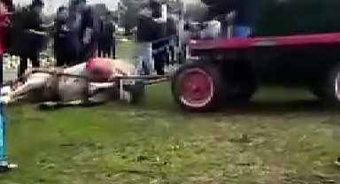 Koşmadığı gerekçesiyle ata şiddet uygulayıp bayıltan 2 şüpheli gözaltında