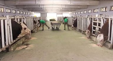 Malatya TİGEM'de şap hastalığı; bölge karantinada