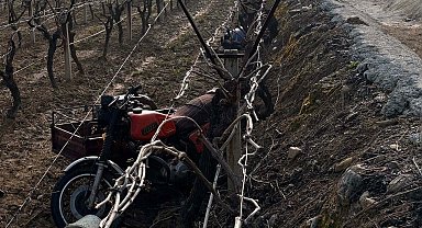 Manisa'da sepetli motosiklet üzüm bağına devrildi: 1 ölü