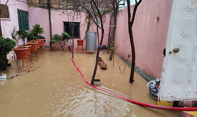 Mardin'de sağanak; dereler taştı, evler ile tarım arazilerini su bastı
