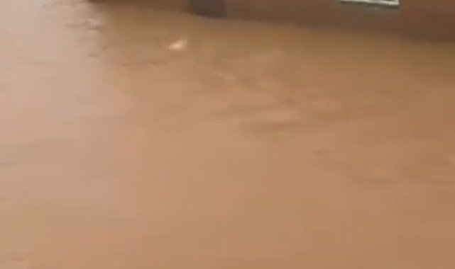 Mardin'de sağanak; dereler taştı, evler ile tarım arazilerini su bastı