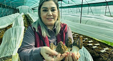 Mersin'de çiftçiler kilosu 5 bin TL'ye satılan kuzugöbeği mantarı üretimini öğrenecek