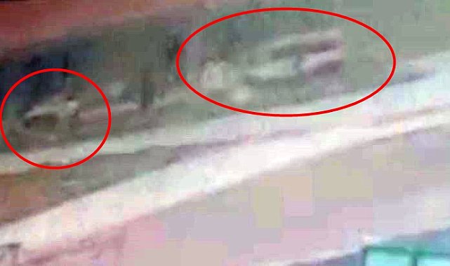 Öğrenci servis minibüsü ile otomobil çarpıştı: 13 yaralı