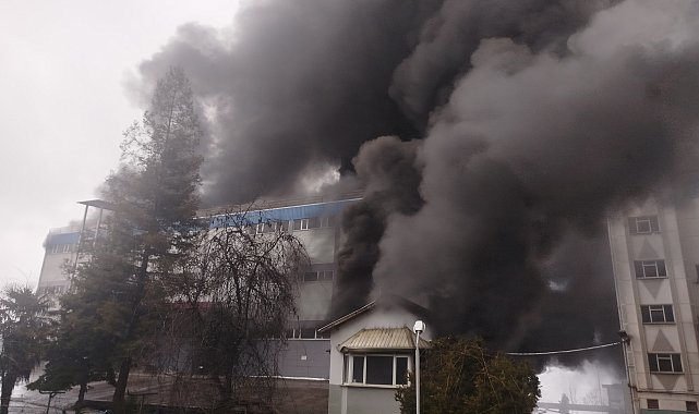 Trabzon'da fındık fabrikasında yangın