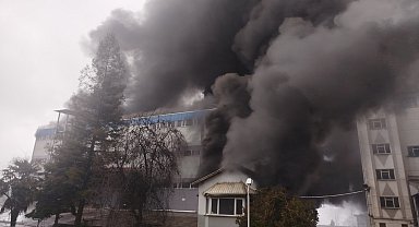 Trabzon'da fındık fabrikasında yangın