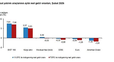 TÜİK: Aylık en yüksek reel getiri BIST 100 endeksinde oldu