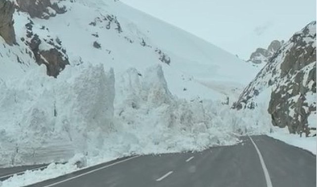 Van-Hakkari kara yoluna çığ düştü, araçlar mahsur kaldı