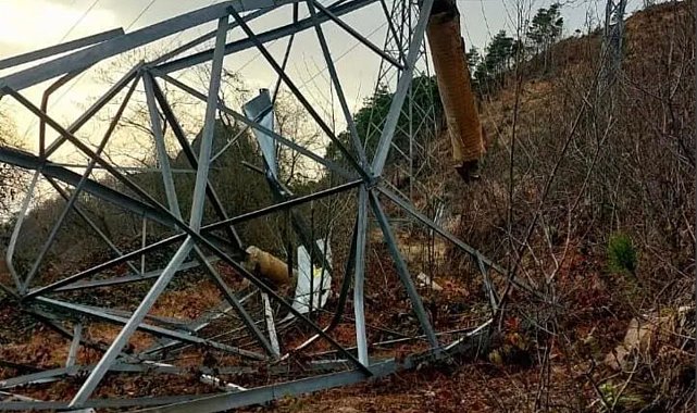 Vinç kiralayıp, gerilim hattı kablolarını çaldılar