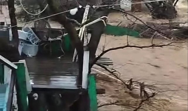 Yalova'da sağanak nedeniyle dereler taştı, 5 büyükbaş öldü