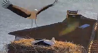 Yaren Leylek, eşi Nazlı ile de buluştu