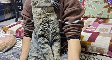 Yeğenini bıçaklayıp öldürdü, araya giren kardeşi ile damadını ağır yaraladı