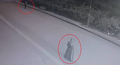 Yolda yürüyen kadının poşetteki telefonunu çalan kapkaççı kamerada