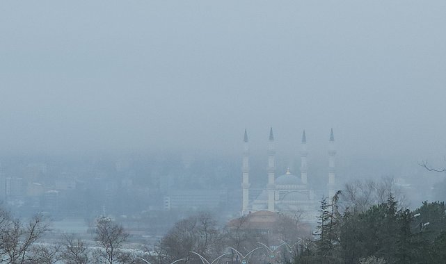Zonguldak'ta 3 gündür sis etkili oluyor