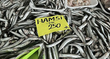 'Balıkta hızlı avcılık pek çok sıkıntıyı beraberinde getirdi'