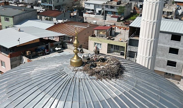 6 yıldır aynı yuvaya dönüyorlar