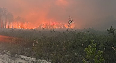 ABD'de orman yangınlarında 120'den fazla ev yandı