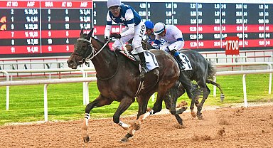 Adana'da Akdeniz Derbisi'nin kazananı 'Dapper Man' oldu