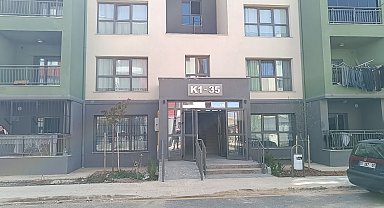 Adıyaman'da parçalanmış halde yavru kedi bulundu