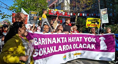 Ankara'da hayvanseverlerden yürüyüş