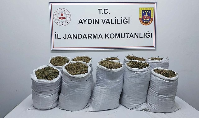 Aydın'da uyuşturucu operasyonu; 2 gözaltı