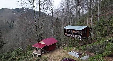 Ayının, demir direğe tırmanıp kovanlara ulaşmaya çalıştığı anlar kamerada