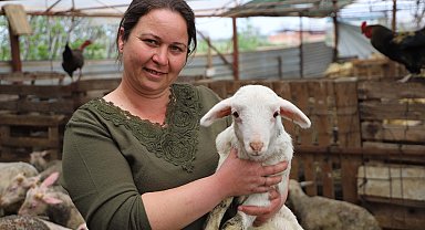 Babasının hediye ettiği kuzuyla çiftlik kurdu