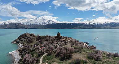 Badem ağaçlarının çiçekleriyle güzelleşen Akdamar Adası'nda turist yoğunluğu