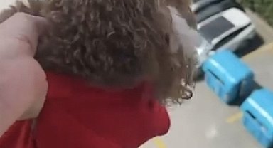 Başakşehir'de pencereden sarkıttığı köpeği cama vurup kaydetti; alkollüydüm diyip özür diledi