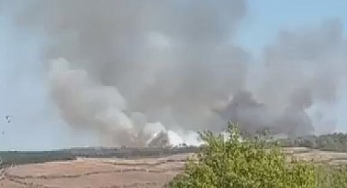 Beykoz'da orman yangını -2 Ek görüntü