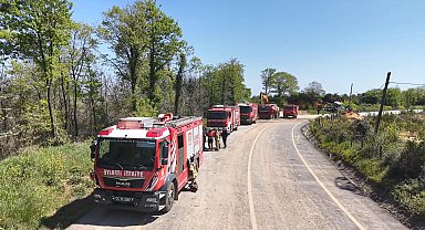Beykoz'da orman yangını; zarar gören alan havadan görüntülendi
