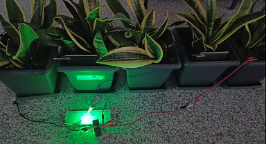 Bitkilerden elektrik üretildi; Bolu ve Ankara'dan ekip biyopil geliştirdi