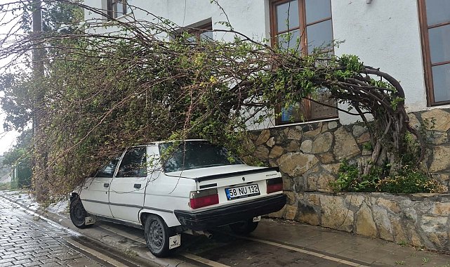 Bodrum'da tam fırtına günlük yaşamı olumsuz etkiledi