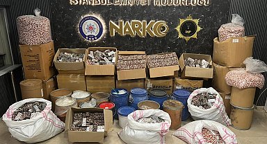 Büyükçekmece'de uyuşturucu operasyonunda gözaltına alınan 2 şüpheliden 1'i tutuklandı