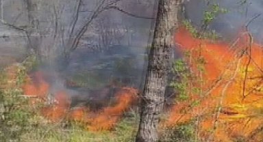 Çatalca'da ormanlık alanda çıkan yangın söndürüldü