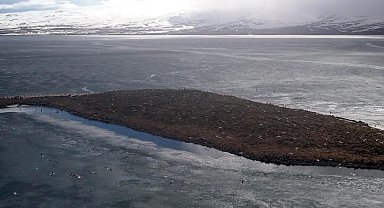 Çıldır Gölü, kuş cennetine döndü