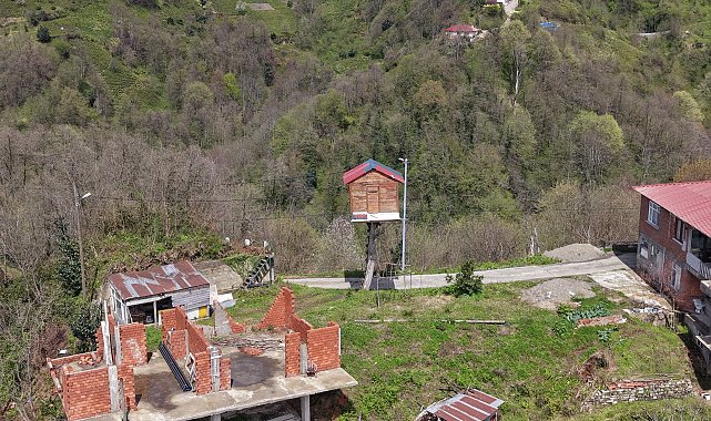 Çocukluk hayalini 25 yıl sonra gerçekleştirdi; 7 metre yüksekliğe ağaç ev yaptı